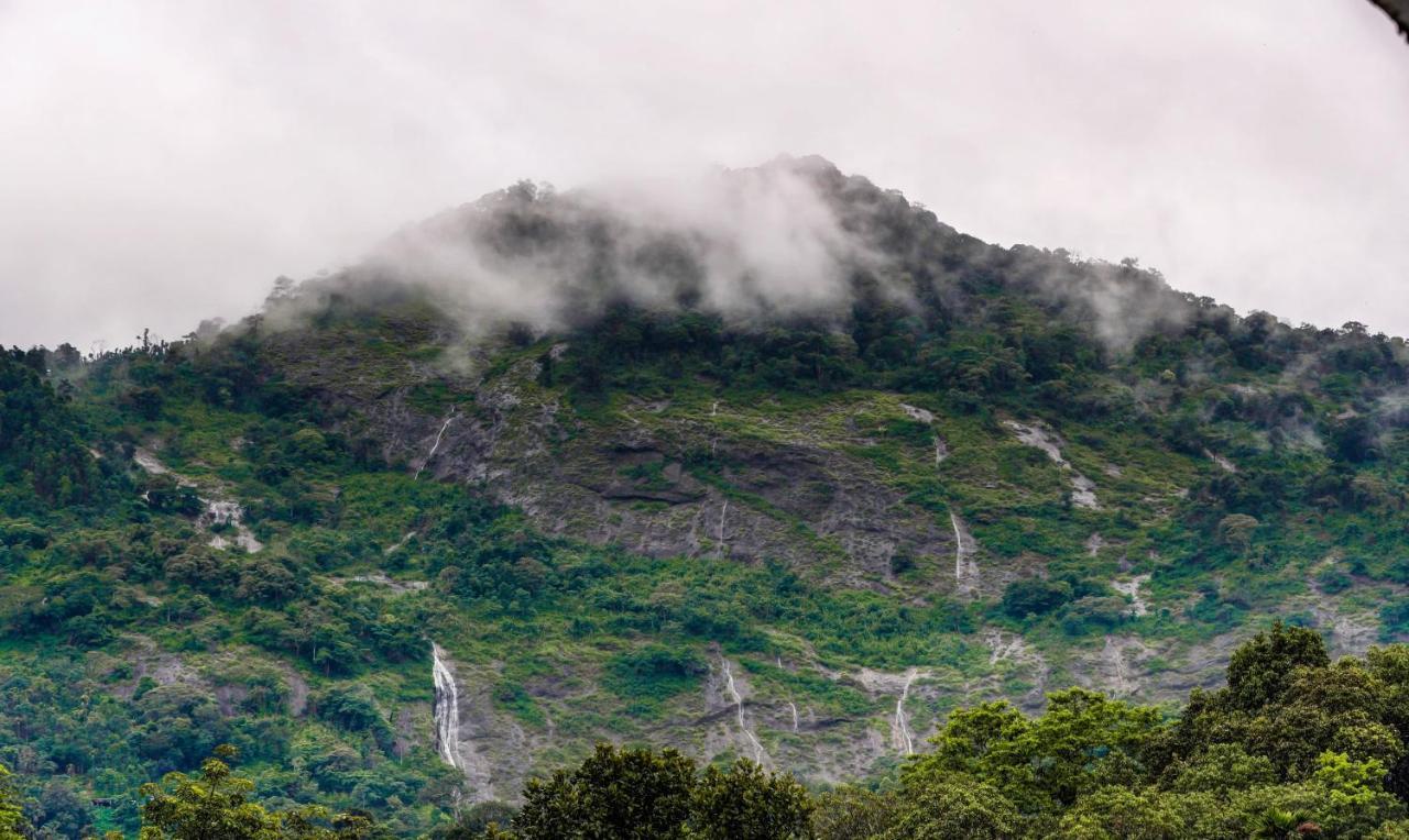 Treebo Trend Misty Garden Resorts With Mountain View Munnar Dış mekan fotoğraf