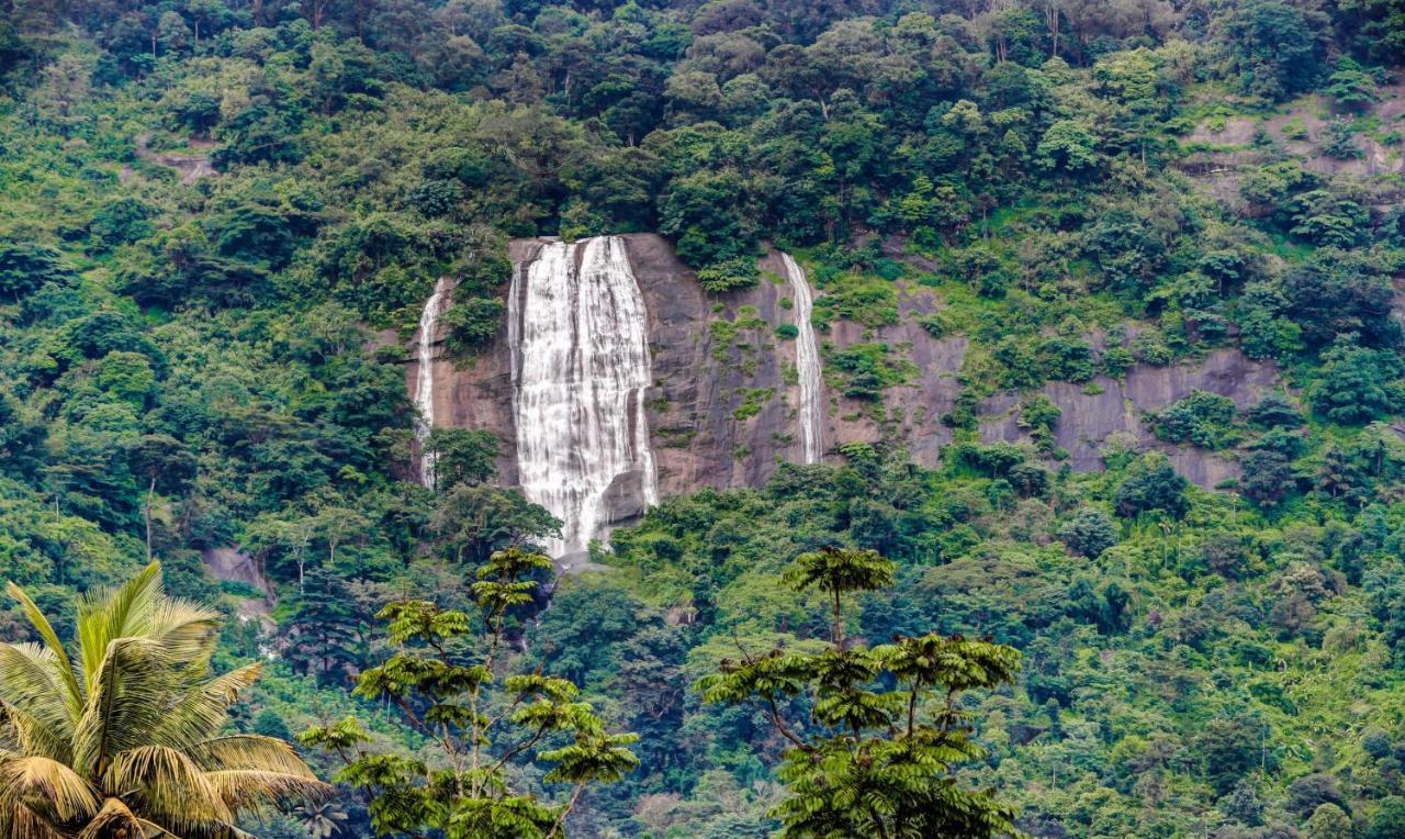 Treebo Trend Misty Garden Resorts With Mountain View Munnar Dış mekan fotoğraf